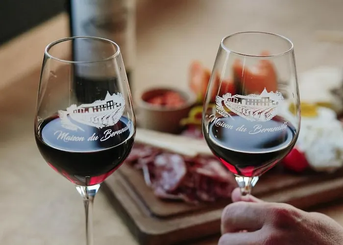 Tiny House Au Milieu Des Vignes * Arbis