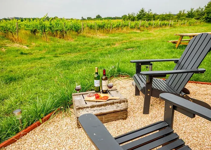 Tiny House Au Milieu Des Vignes