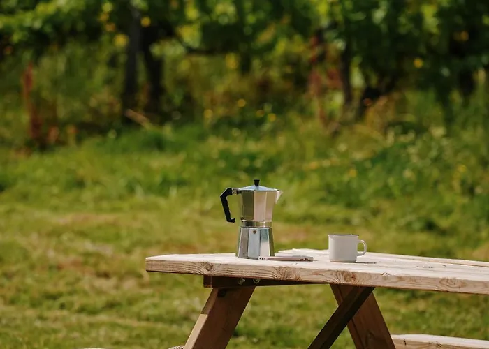 Jaktstuga Tiny House Au Milieu Des Vignes
