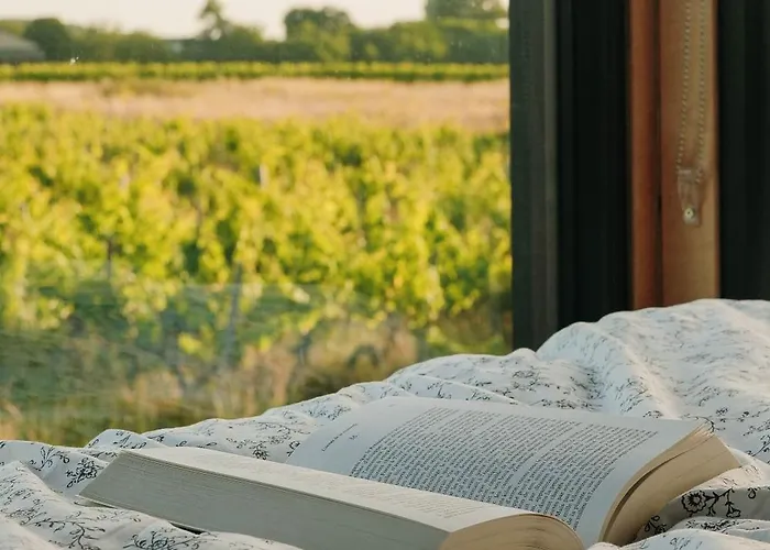 Tiny House Au Milieu Des Vignes *