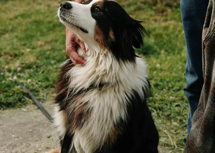 Tiny House Au Milieu Des Vignes * Arbis