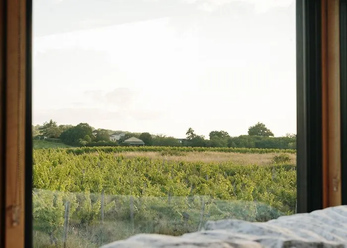 Jaktstuga Tiny House Au Milieu Des Vignes *
