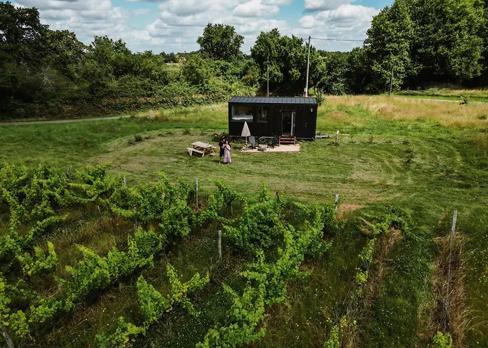 Tiny House Au Milieu Des Vignes Jaktstuga *