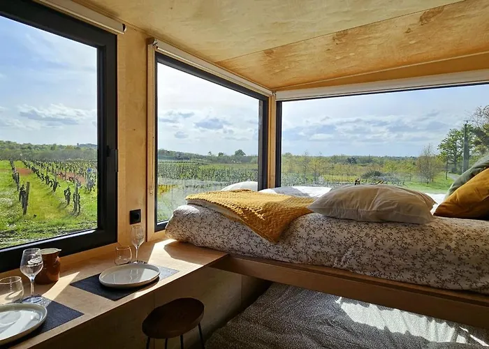 Tiny House Au Milieu Des Vignes * Arbis